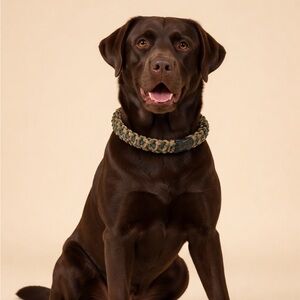 Durable Camouflage Dog Collar